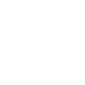 技術(shù)性能